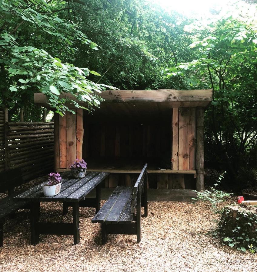 Slangerupgaard Bed and Breakfast Fakse Ladeplads Εξωτερικό φωτογραφία
